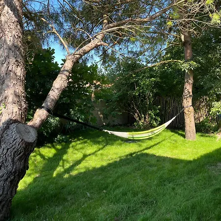 Les 3 Voeux La Tremblade