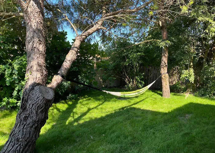 Les 3 Voeux La Tremblade